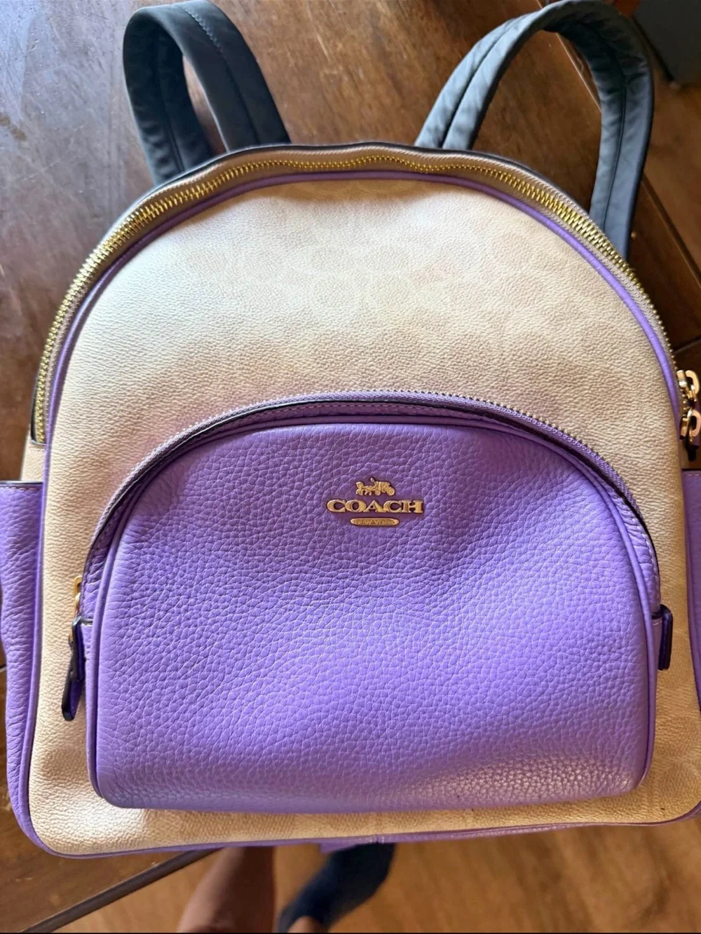 Coach Backpack